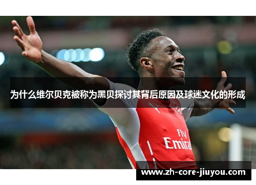 为什么维尔贝克被称为黑贝探讨其背后原因及球迷文化的形成 为什么维尔贝克被称为黑贝探讨其背后原因及球迷文化的形成