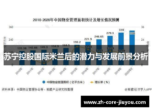 苏宁控股国际米兰后的潜力与发展前景分析