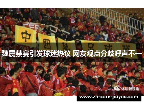 魏震禁赛引发球迷热议 网友观点分歧呼声不一