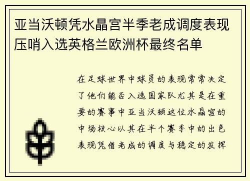 亚当沃顿凭水晶宫半季老成调度表现压哨入选英格兰欧洲杯最终名单